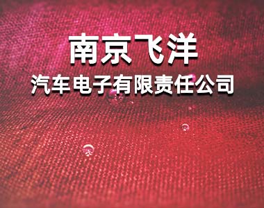 南京飞洋汽车电子有限责任公司
