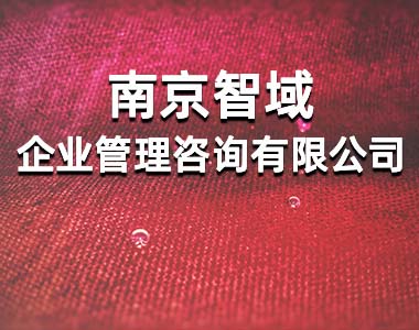 南京智域企业管理咨询有限公司