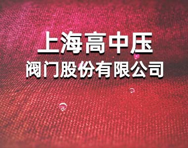 上海高中压阀门股份有限公司